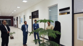 سرپرست، اساتید و کارکنان جهاد دانشگاهی زاهدان، از بخش های مختلف پارک علم و فناوری استان سیستان و بلوچستان بازدید نمودند