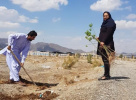 تولید داروی گیاهی ضد قند توسط دانشجوی دانشگاه جامع علمی کاربردی استان سیستان و بلوچستان