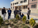 کاشت نهال به مناسبت روز درختکاری در دانشگاه جامع علمی کاربردی استان سیستان و بلوچستان