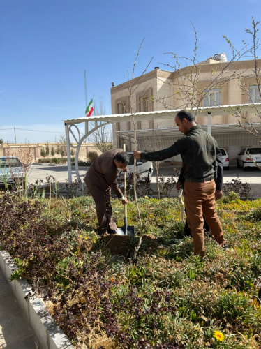 کاشت نهال به مناسبت روز درختکاری در دانشگاه جامع علمی کاربردی استان سیستان و بلوچستان